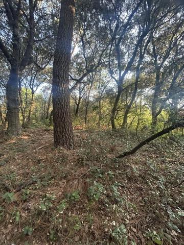 TERRAIN  constructible  1600 m² bord de mer