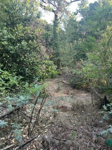 TERRAIN  constructible  1600 m² bord de mer