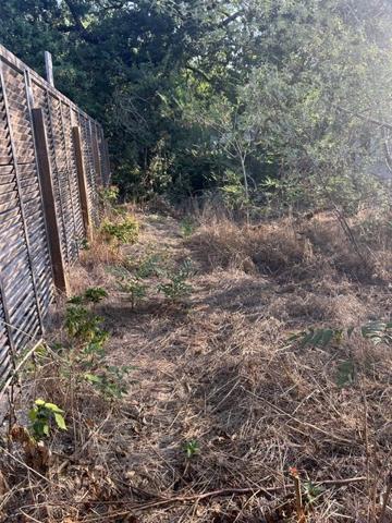 TERRAIN  constructible  1600 m² bord de mer