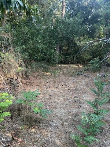 TERRAIN  constructible  1600 m² bord de mer
