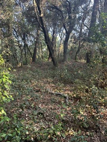 TERRAIN  constructible  1600 m² bord de mer