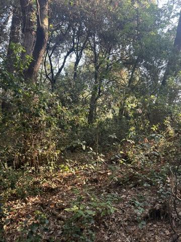 TERRAIN  constructible  1600 m² bord de mer
