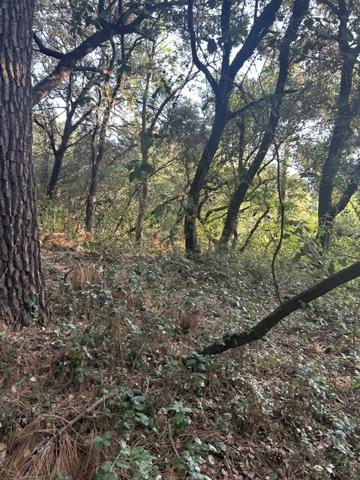 TERRAIN  constructible  1600 m² bord de mer