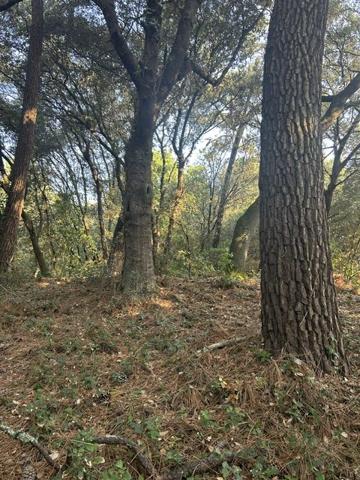 TERRAIN  constructible  1600 m² bord de mer