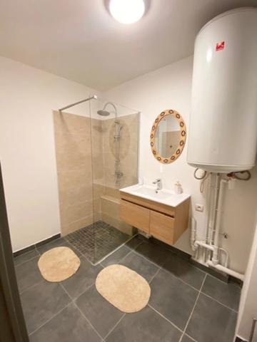 A louer Appartement 2 pièces 49 m² sur BELLE PIERRE (974)