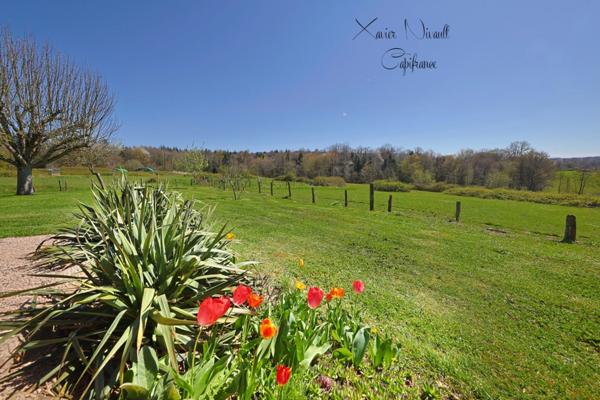 Maison à vendre 11 pièces SAINT AMOUR (39)