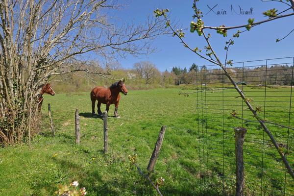 Maison à vendre 11 pièces SAINT AMOUR (39)