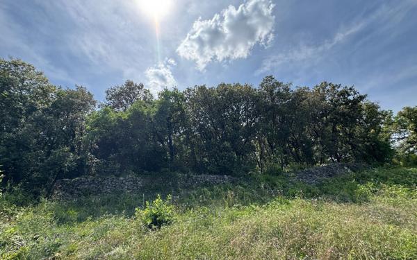 Terrain à vendre    Saint-Privat-des-Vieux