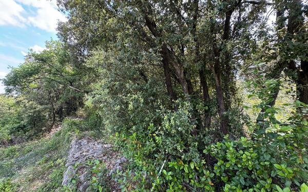 Terrain à vendre    Saint-Privat-des-Vieux