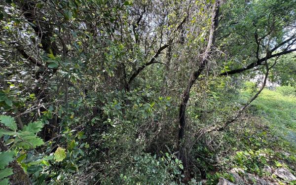 Terrain à vendre    Saint-Privat-des-Vieux