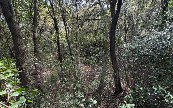 Terrain à vendre    Saint-Privat-des-Vieux