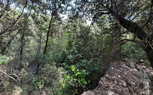 Terrain à vendre    Saint-Privat-des-Vieux