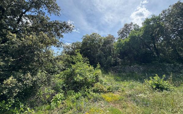 Terrain à vendre    Saint-Privat-des-Vieux