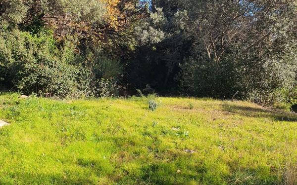 Terrain à vendre    Ollioules