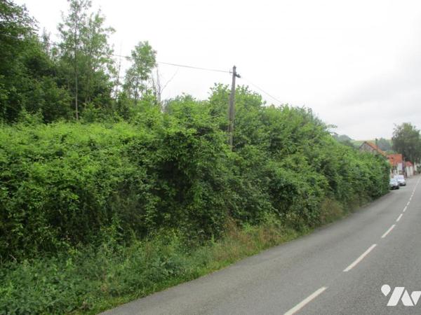 Vente Terrain à bâtir à Tortefontaine