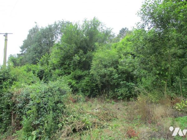 Vente Terrain à bâtir à Tortefontaine