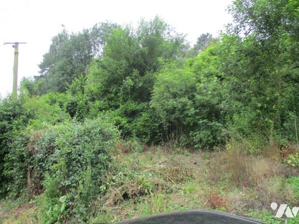 Vente Terrain à bâtir à Tortefontaine
