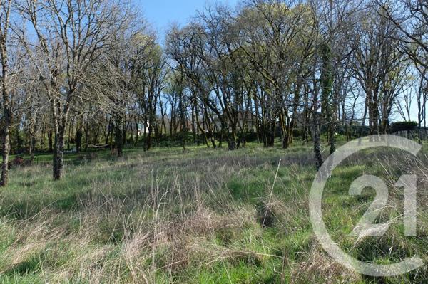Terrain à vendre  1352 m 2   BRIVE LA GAILLARDE  - 19
