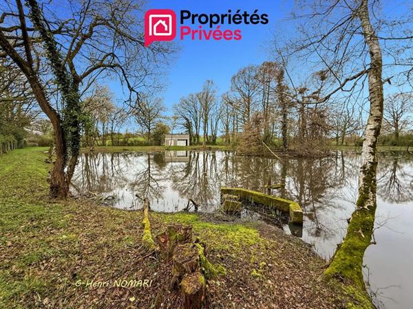 Etang Martigne Ferchaud 5550 m2 - Terrain de 12340 -