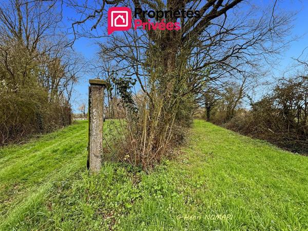 Etang Martigne Ferchaud 5550 m2 - Terrain de 12340 -
