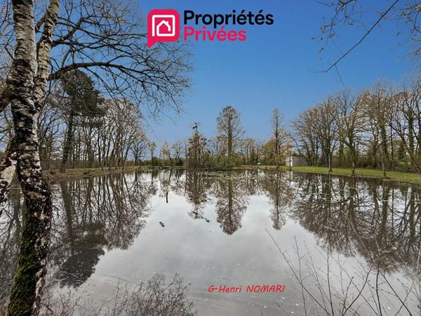 Etang Martigne Ferchaud 5550 m2 - Terrain de 12340 -