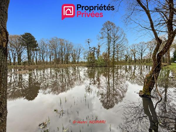 Etang Martigne Ferchaud 5550 m2 - Terrain de 12340 -