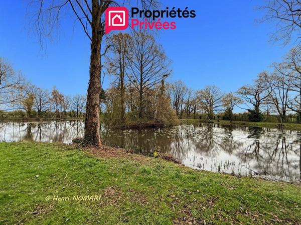 Etang Martigne Ferchaud 5550 m2 - Terrain de 12340 -