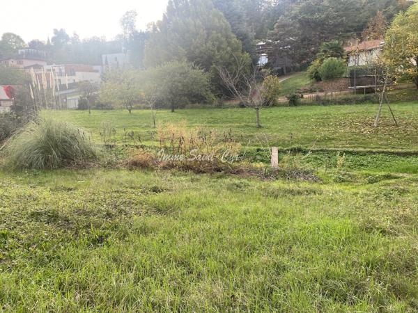 Terrain