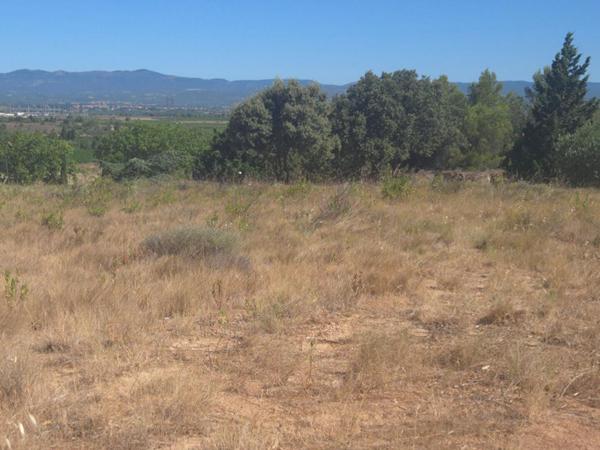 ESCALES ,10 mn de LEZIGNAN , TERRAIN VIABILISE 1340 m2