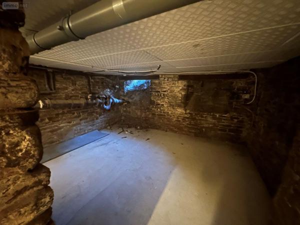 Local mixte (Pro/Hab) à vendre à Dol-de-Bretagne en Ille-et-Vilaine (35120), ref : 16258/243