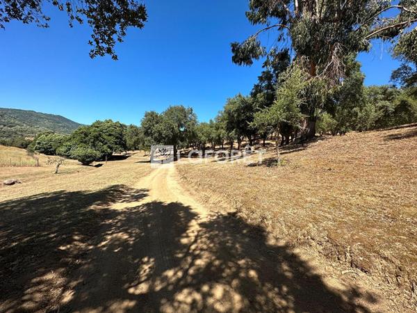 Achat maison Sollacaro - 11 pièce(s) - 325 m² - 1 100 000 €