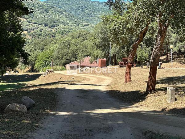 Achat maison Sollacaro - 11 pièce(s) - 325 m² - 1 100 000 €