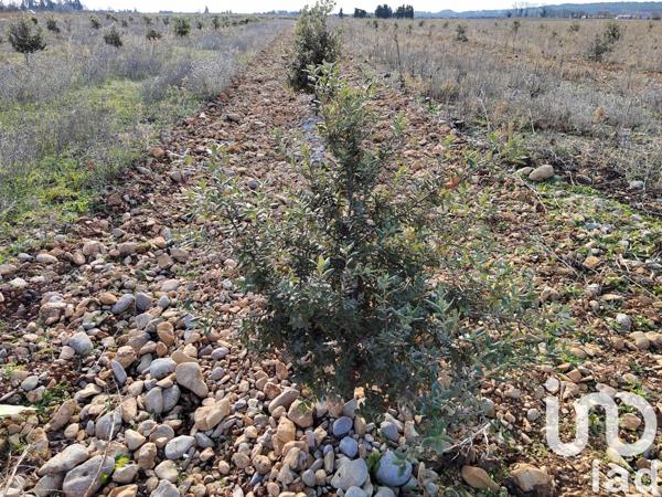 Terrain à vendre 4 952 m² Sainte-Cécile-les-Vignes