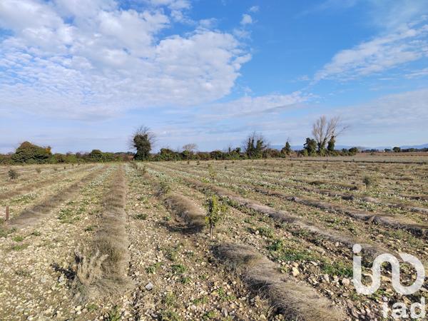 Terrain à vendre 4 952 m² Sainte-Cécile-les-Vignes