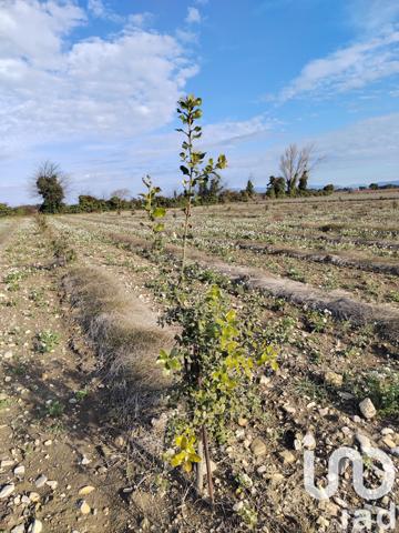 Terrain à vendre 4 952 m² Sainte-Cécile-les-Vignes