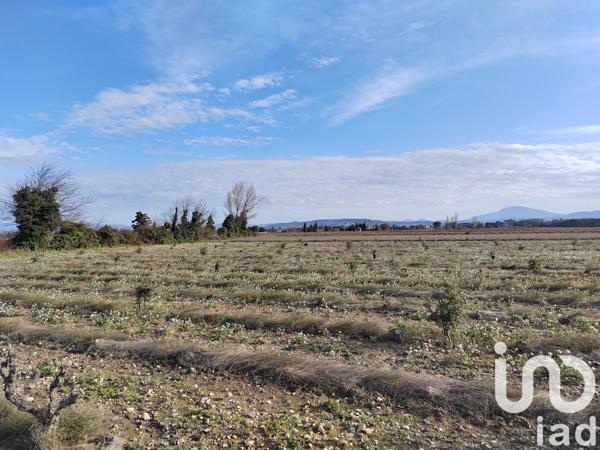 Terrain à vendre 4 952 m² Sainte-Cécile-les-Vignes