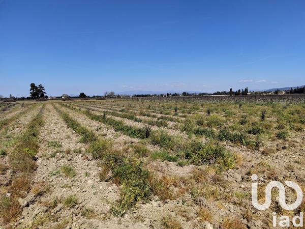 Terrain à vendre 4 952 m² Sainte-Cécile-les-Vignes