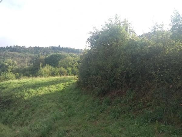 adorable maison au calme idéal premier achat ou investisseur , la Roche, Thiers