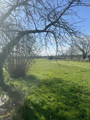 Maison à vendre |  Saint-Ciers-sur-Gironde |  4 pièces | 97 m²