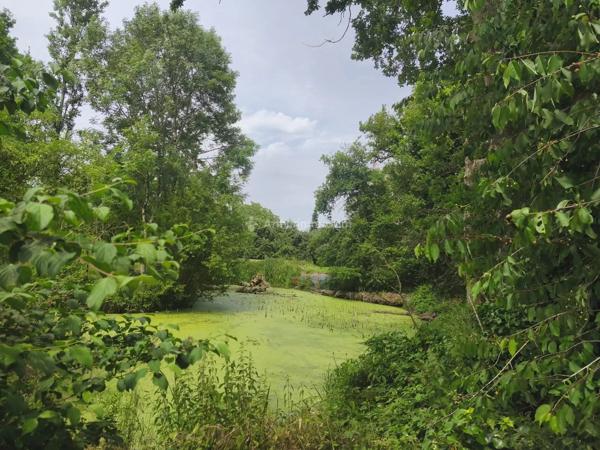 Vente Maison 6 pièces 153 m2 à La Chartre-sur-le-Loir