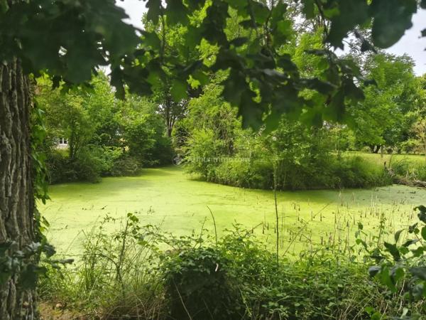 Vente Maison 6 pièces 153 m2 à La Chartre-sur-le-Loir