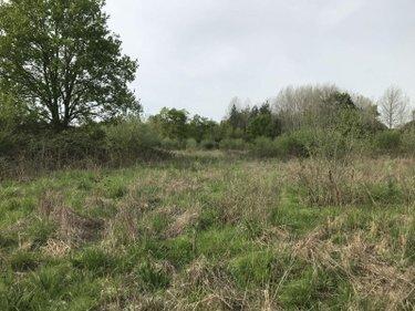 Terrain agricole à vendre à Courcemont dans la Sarthe (72110), ref : 079/2016