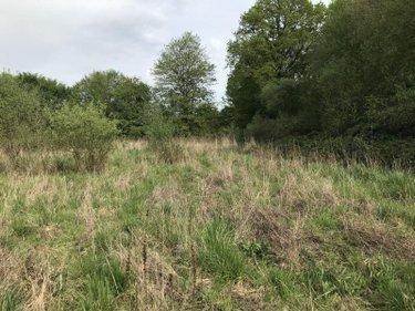 Terrain agricole à vendre à Courcemont dans la Sarthe (72110), ref : 079/2016