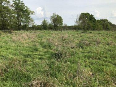 Terrain agricole à vendre à Courcemont dans la Sarthe (72110), ref : 079/2016