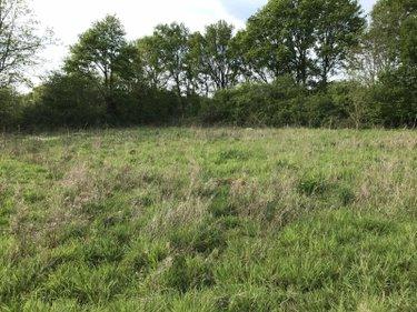 Terrain agricole à vendre à Courcemont dans la Sarthe (72110), ref : 079/2016