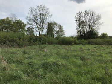 Terrain agricole à vendre à Courcemont dans la Sarthe (72110), ref : 079/2016