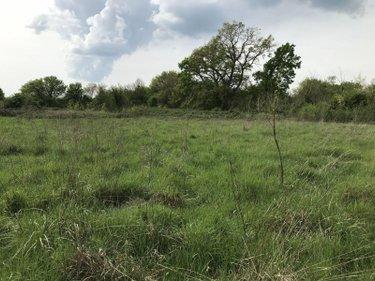 Terrain agricole à vendre à Courcemont dans la Sarthe (72110), ref : 079/2016