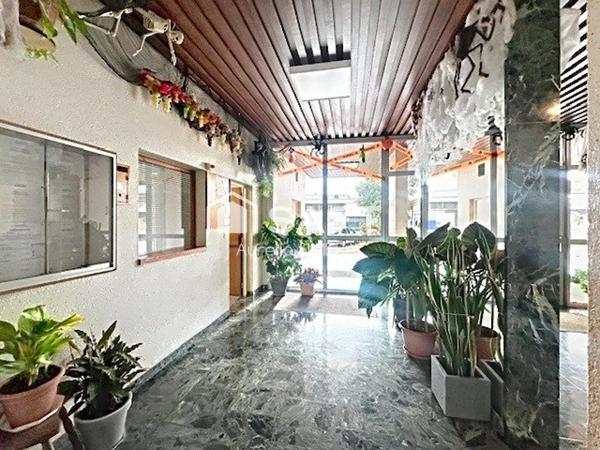 Appartement T3 - CHENOVE