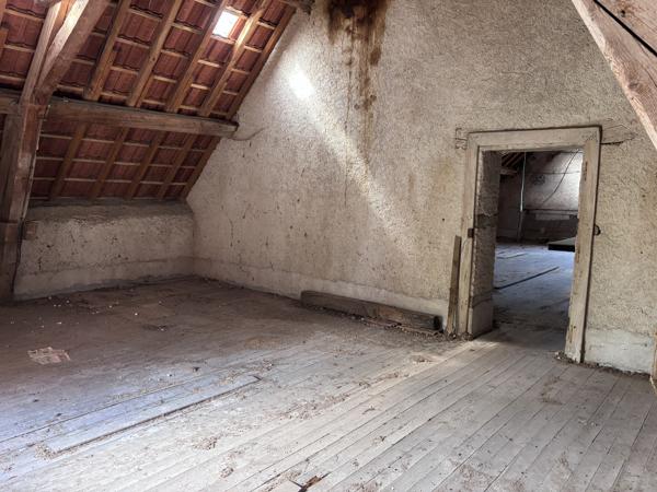 Le Donjon - Ferme à rénover avec une grande grange et des dépendances, sur un terrain de plus de 3 hectares co Le Donjon (03130)