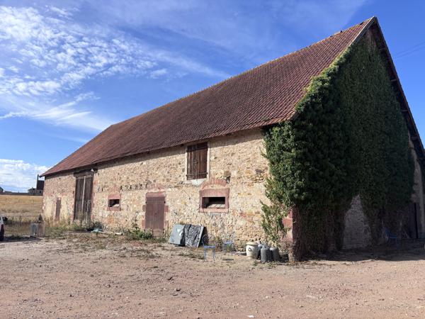 Le Donjon - Ferme à rénover avec une grande grange et des dépendances, sur un terrain de plus de 3 hectares co Le Donjon (03130)